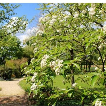 Chambres D'Hotes Les Vignes Montcet Luaran gambar
